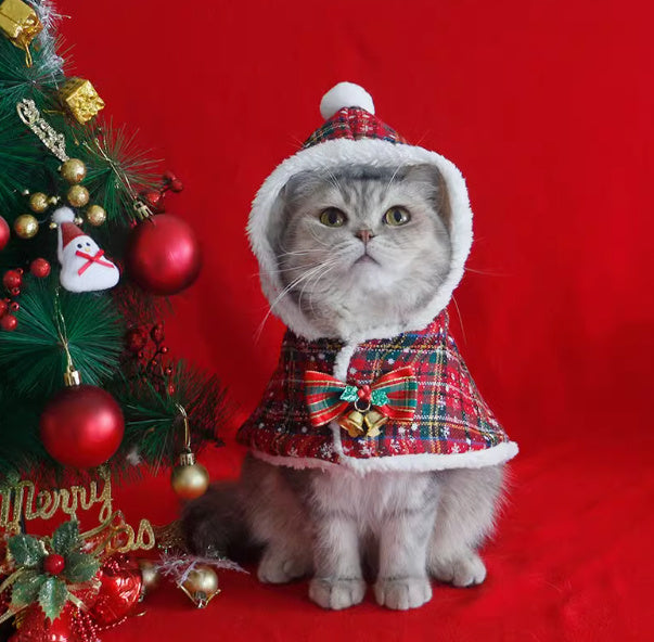 Cape de Noël pour animaux de compagnie 