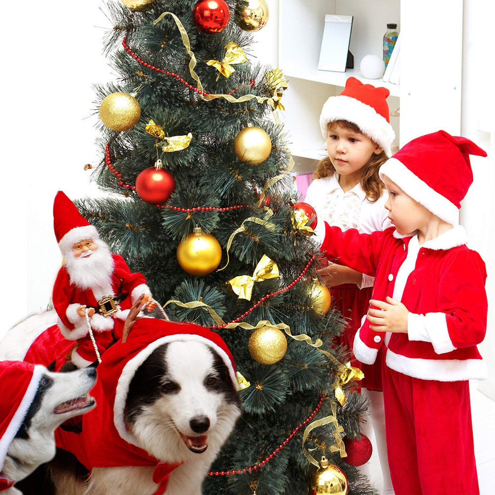 Costume pour animal de compagnie de promenade en traîneau du Père Noël 