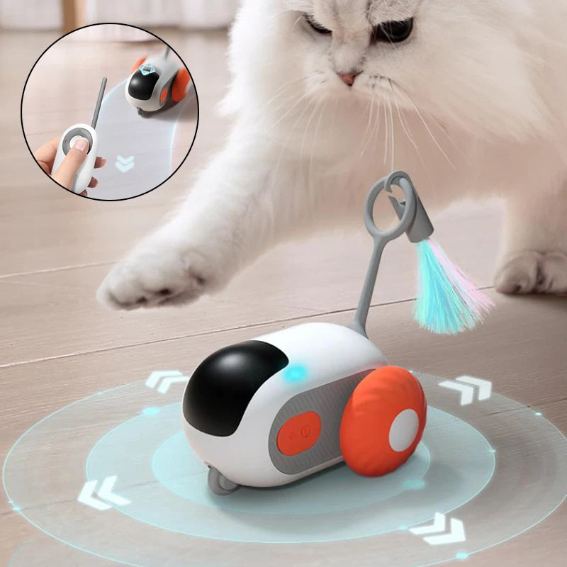 Voiture pour chat Zoom 'n' Play