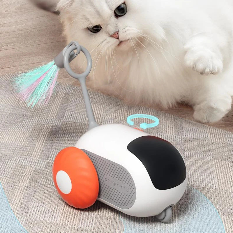 Voiture pour chat Zoom 'n' Play