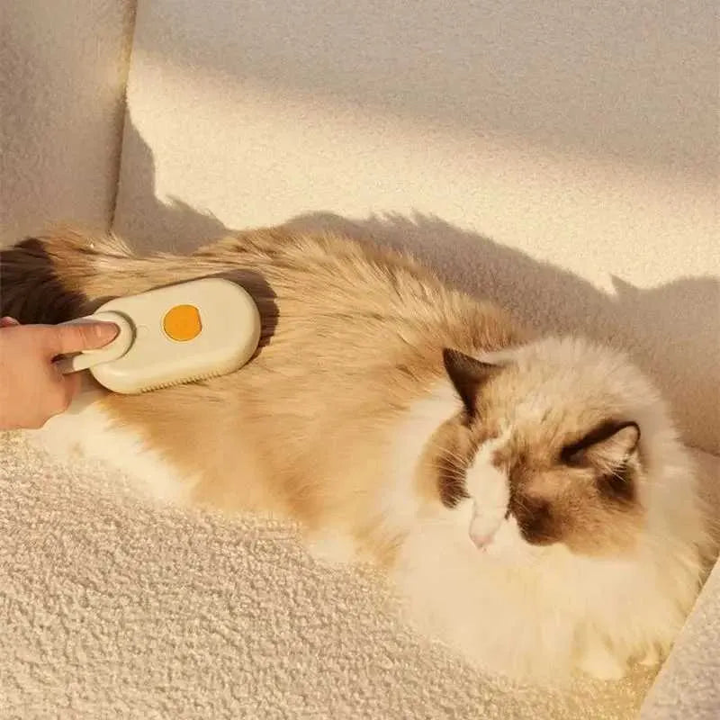 Brosse de toilettage à vapeur pour animaux de compagnie