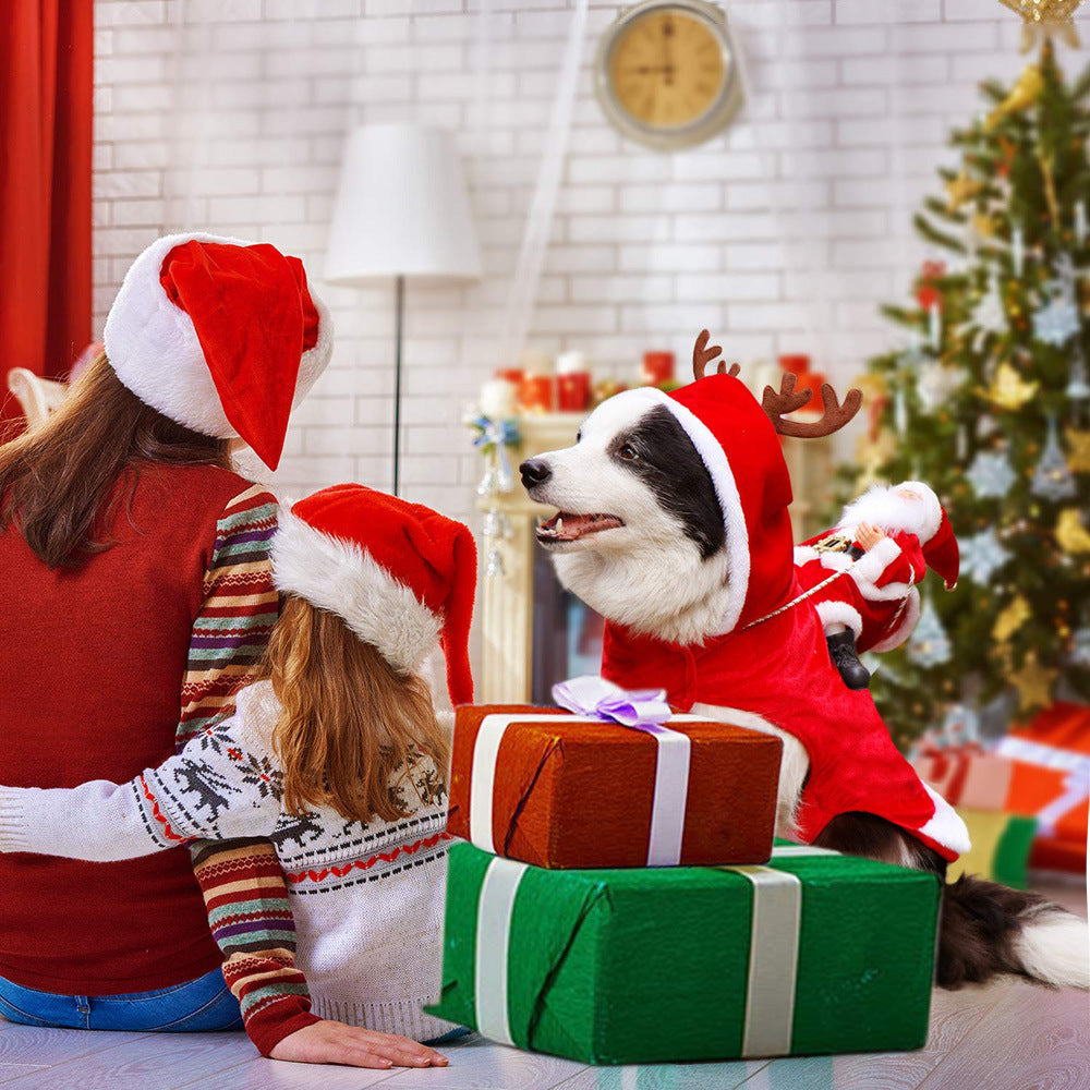 Santa's Sleigh Ride Pet Costume