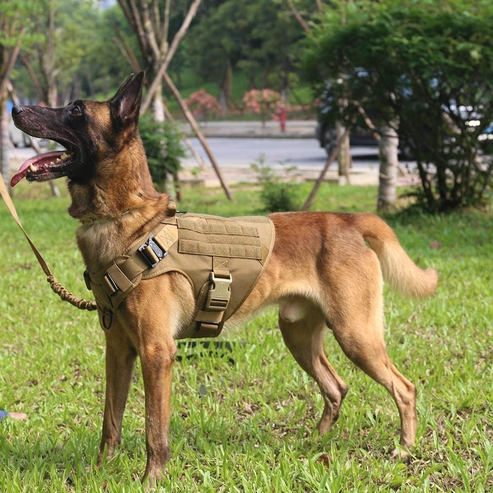 Tactical Training Dog Harness & Leash Set