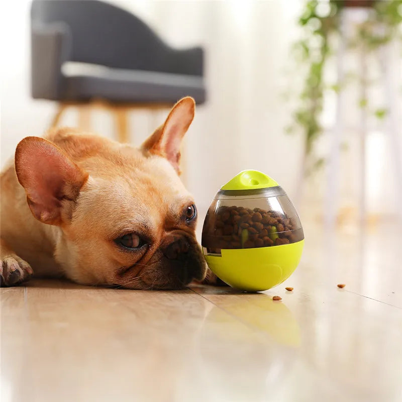 Distributeur de friandises à bascule – Jouet amusant pour animaux de compagnie