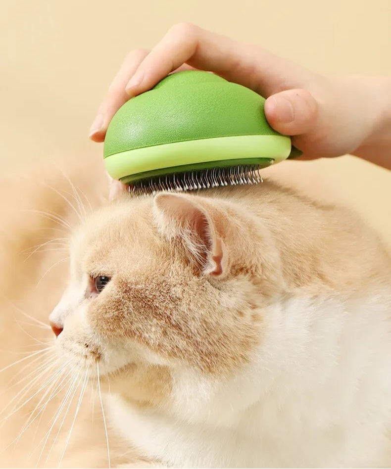 Brosse de nettoyage pour animaux de compagnie en forme d'avocat