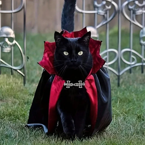 Cosplay d'animaux de compagnie de Batty Nights
