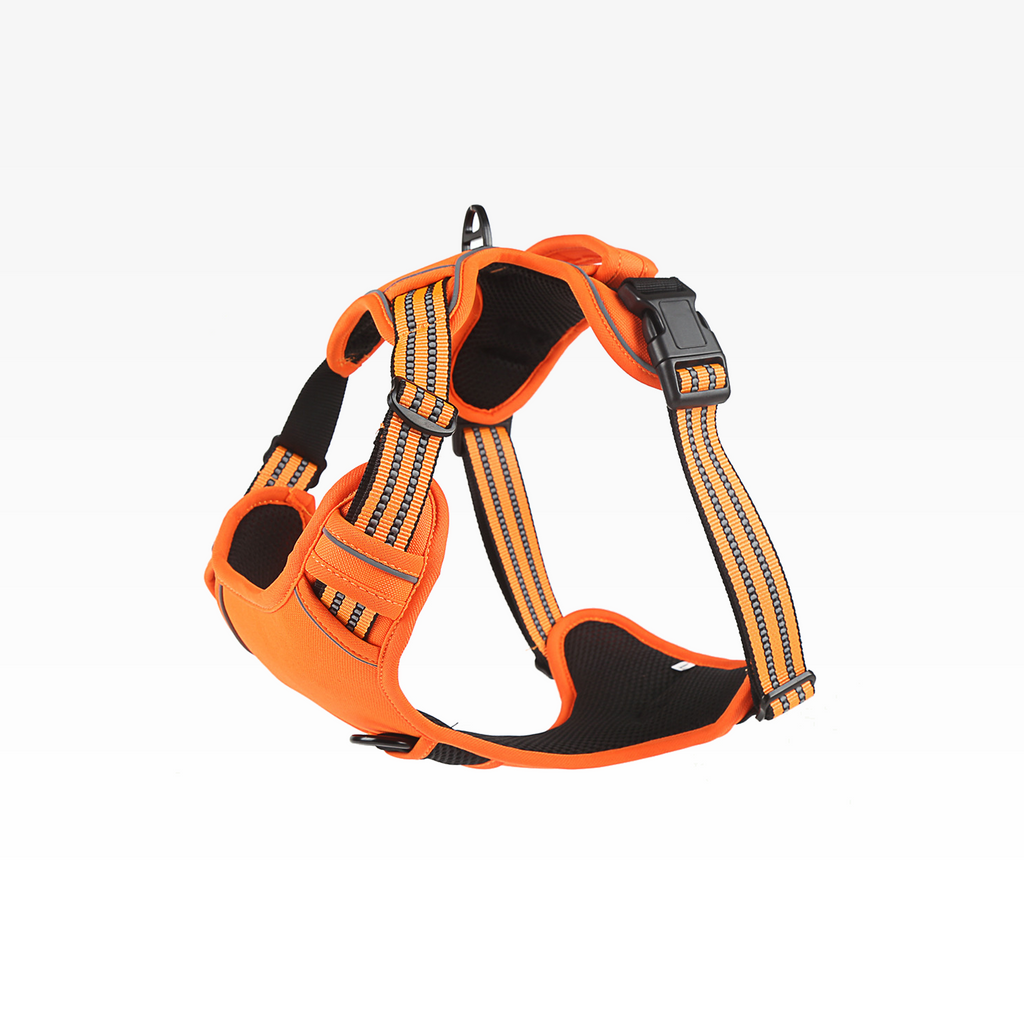 No-Pull Dog Harness Vest