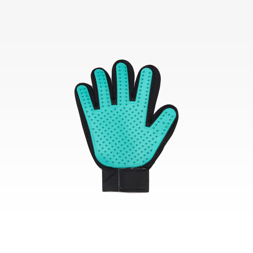 Gants de toilettage et de massage pour animaux de compagnie