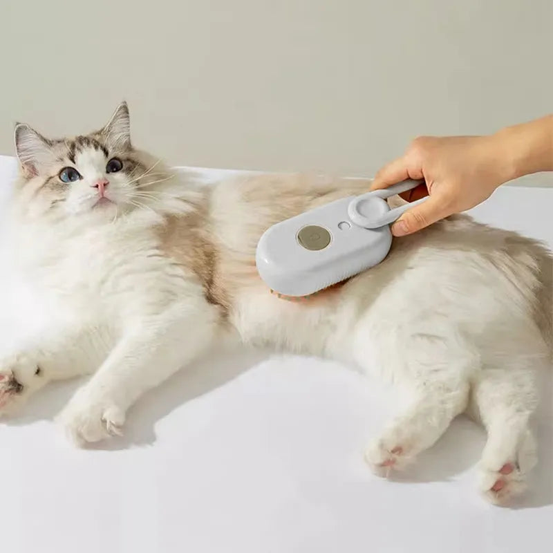 Brosse de toilettage à vapeur pour animaux de compagnie