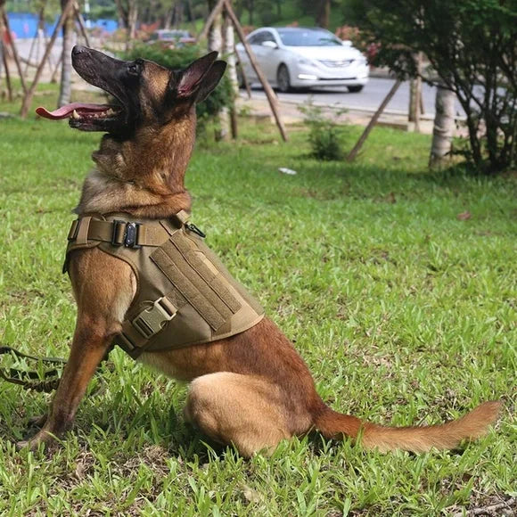 Tactical Training Dog Harness & Leash Set