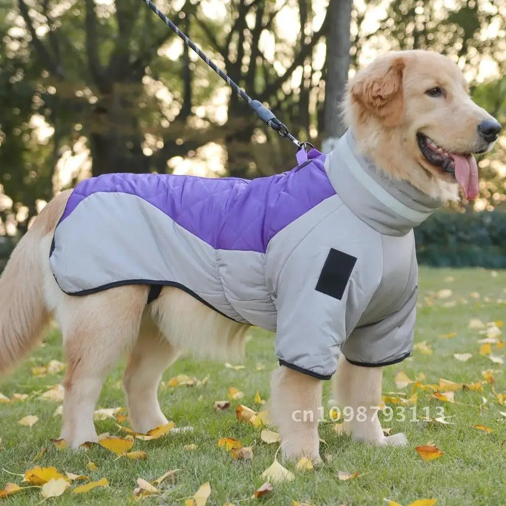 Winter Waterproof Dog Coat