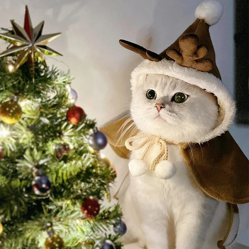 Cape de Noël pour animaux de compagnie 