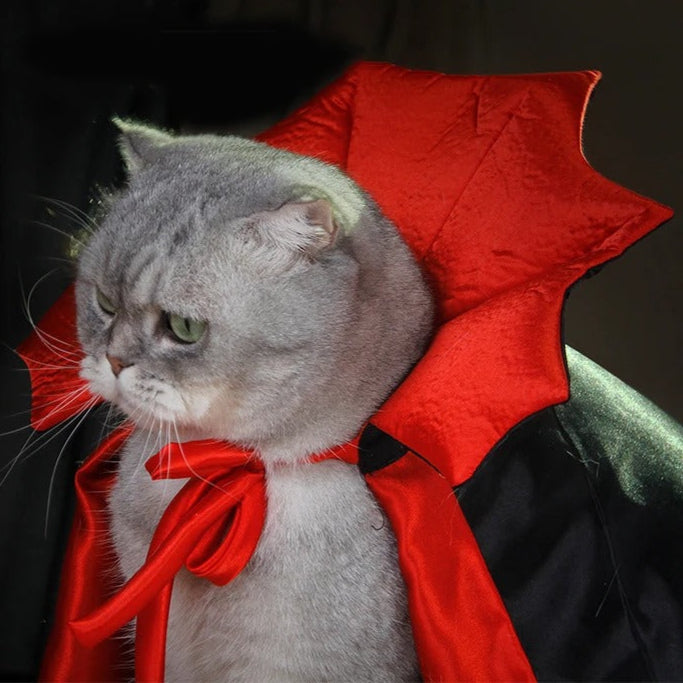 Cosplay d'animaux de compagnie de Batty Nights