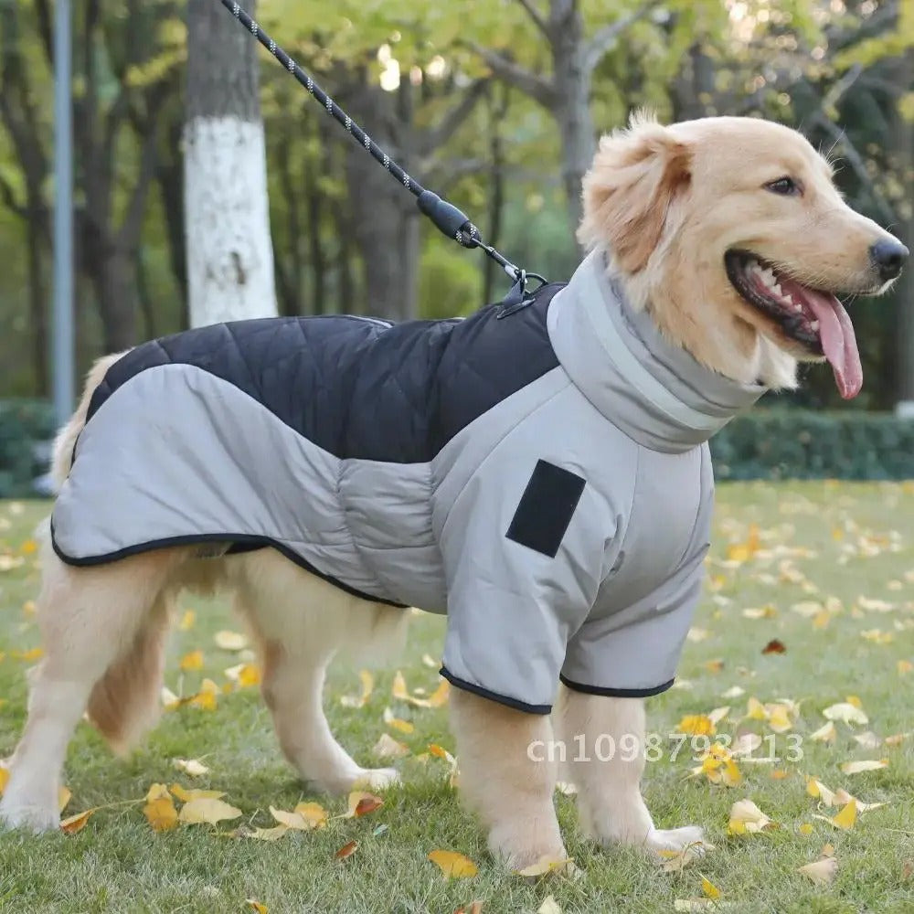 Manteau d'hiver imperméable pour chien