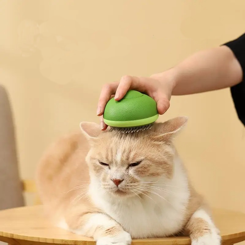 Brosse de nettoyage pour animaux de compagnie en forme d'avocat