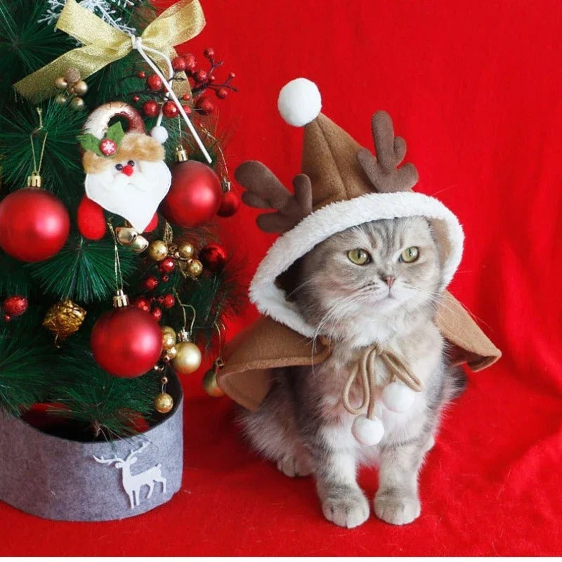 Cape de Noël pour animaux de compagnie 